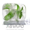 Menta Ice - Aroma concentrato T-Svapo