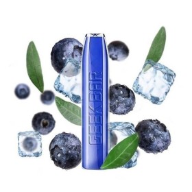 Sigaretta elettronica usa e getta Blueberry Ice GEEK BAR