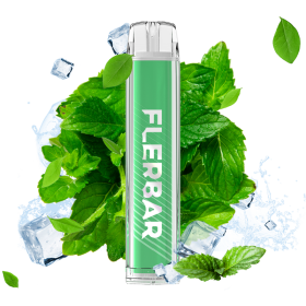 Sigaretta elettronica usa e getta Ice Mint FLERBAR