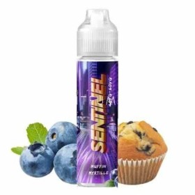 CYBER STEAM SENTINEL SCOMPOSTO 20ML FUU