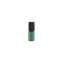TNT Vape Fresh Bullet liquido pronto 10 ml