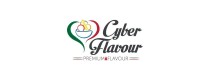 Cyber Flavour